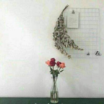 擒天记游戏下载